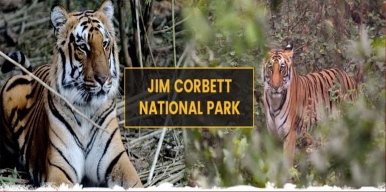 Jim Corbett Tour
